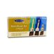 Monarch Advance 3pc Paint Brush Set