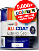 Zinsser Allcoat Exterior Satin - ALL Surface Paint