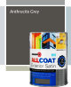 Zinsser Allcoat Satin Anthracite Grey All Surface Paint