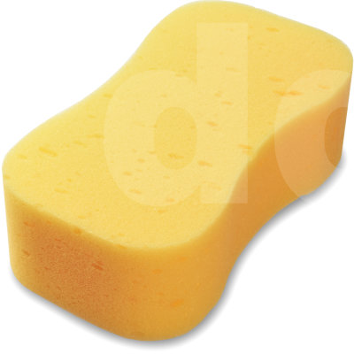 Big sponge on sale